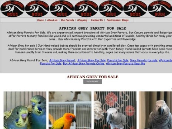 afrobirdsfarm.com