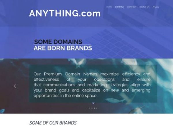 anything.com