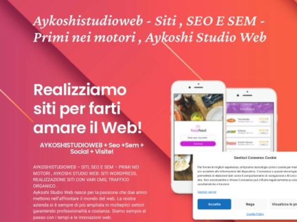 aykoshistudioweb.com