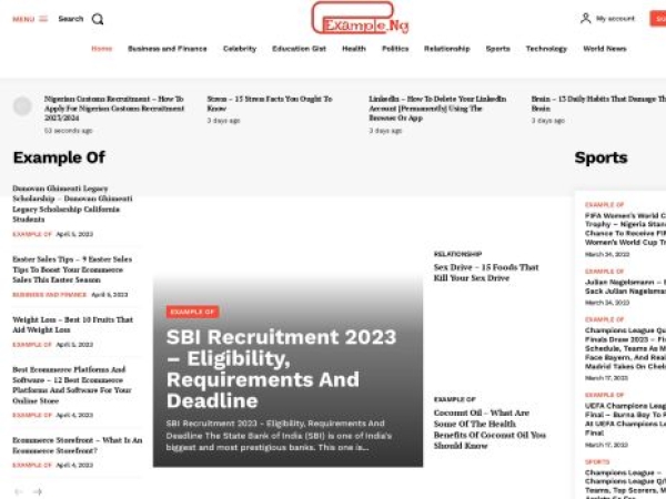 example.ng