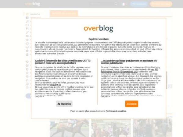 over-blog.com