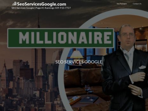 seoservicesgoogle.com