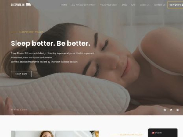 sleepdreampillow.com