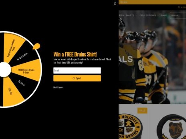 thebostonbruinshockey.com